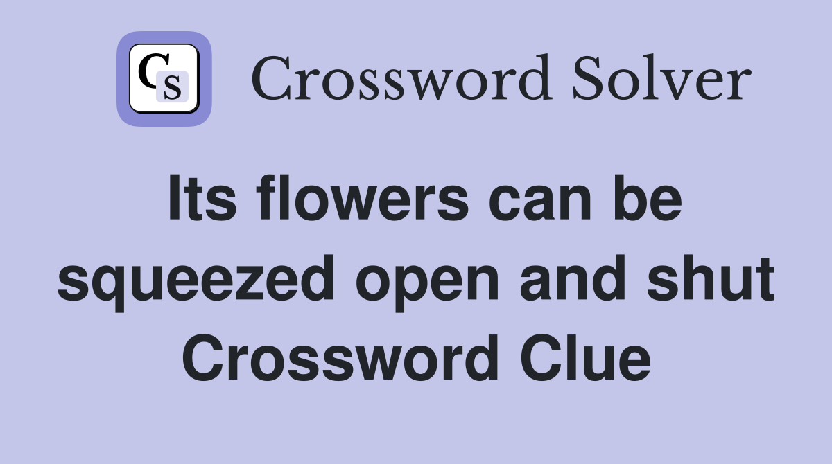 Its flowers can be squeezed open and shut Crossword Clue