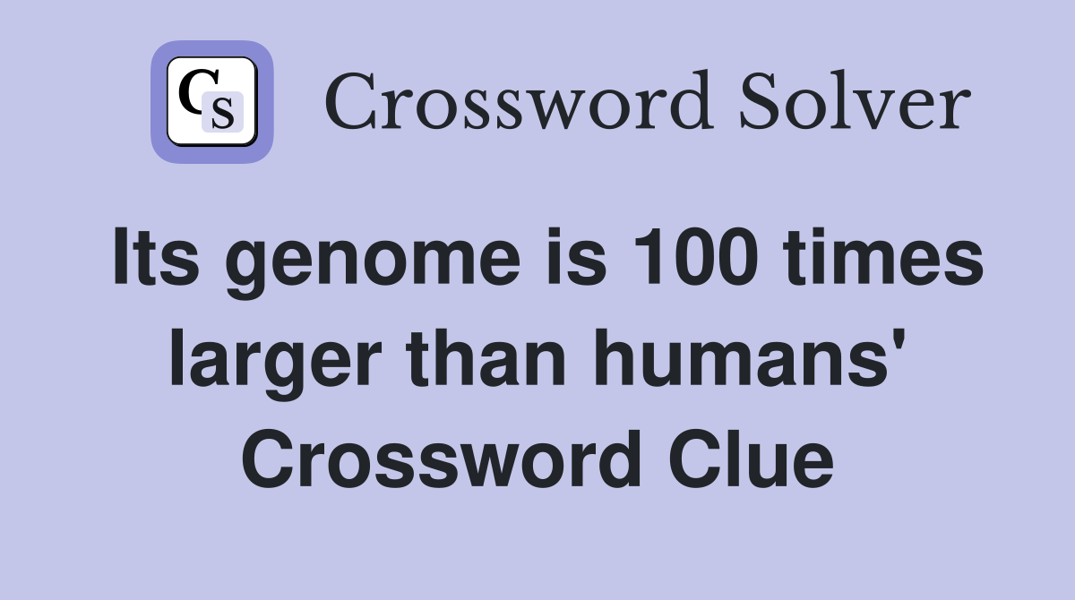 Its genome is 100 times larger than humans' Crossword Clue