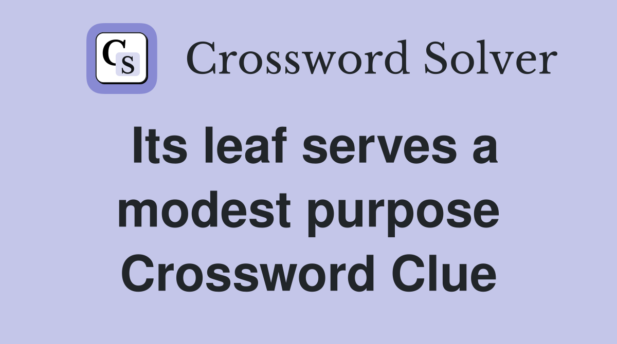Its leaf serves a modest purpose Crossword Clue