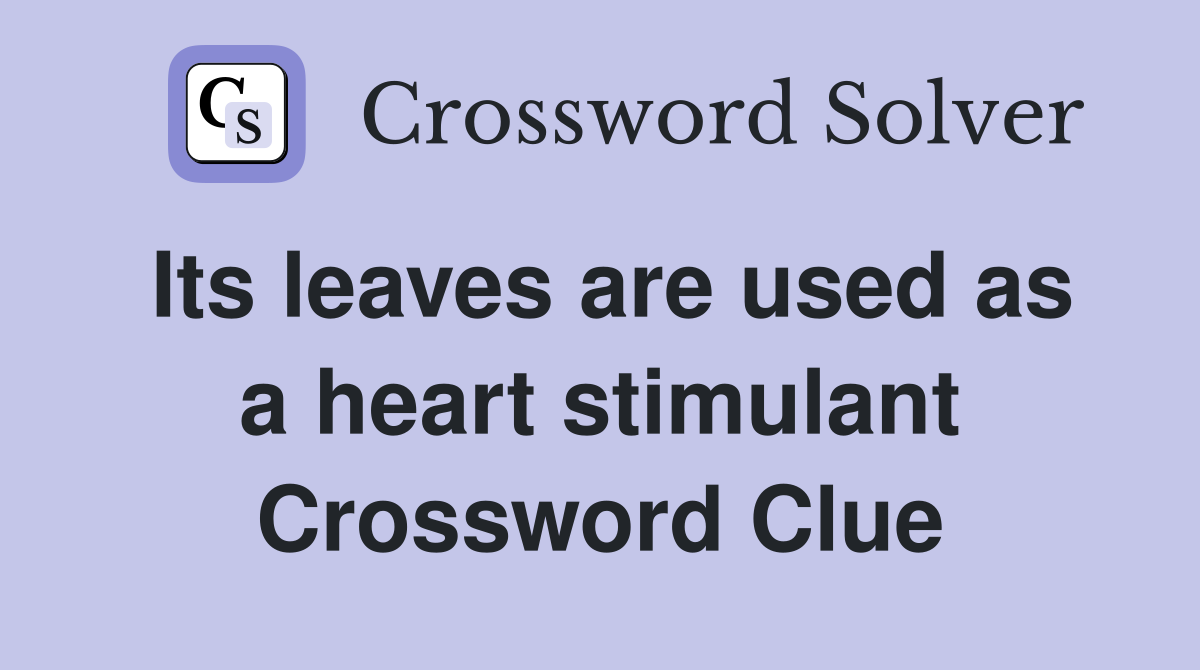 Its leaves are used as a heart stimulant Crossword Clue