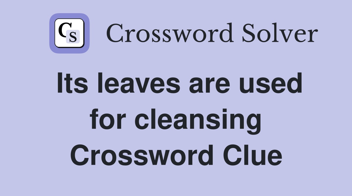 Its leaves are used for cleansing Crossword Clue