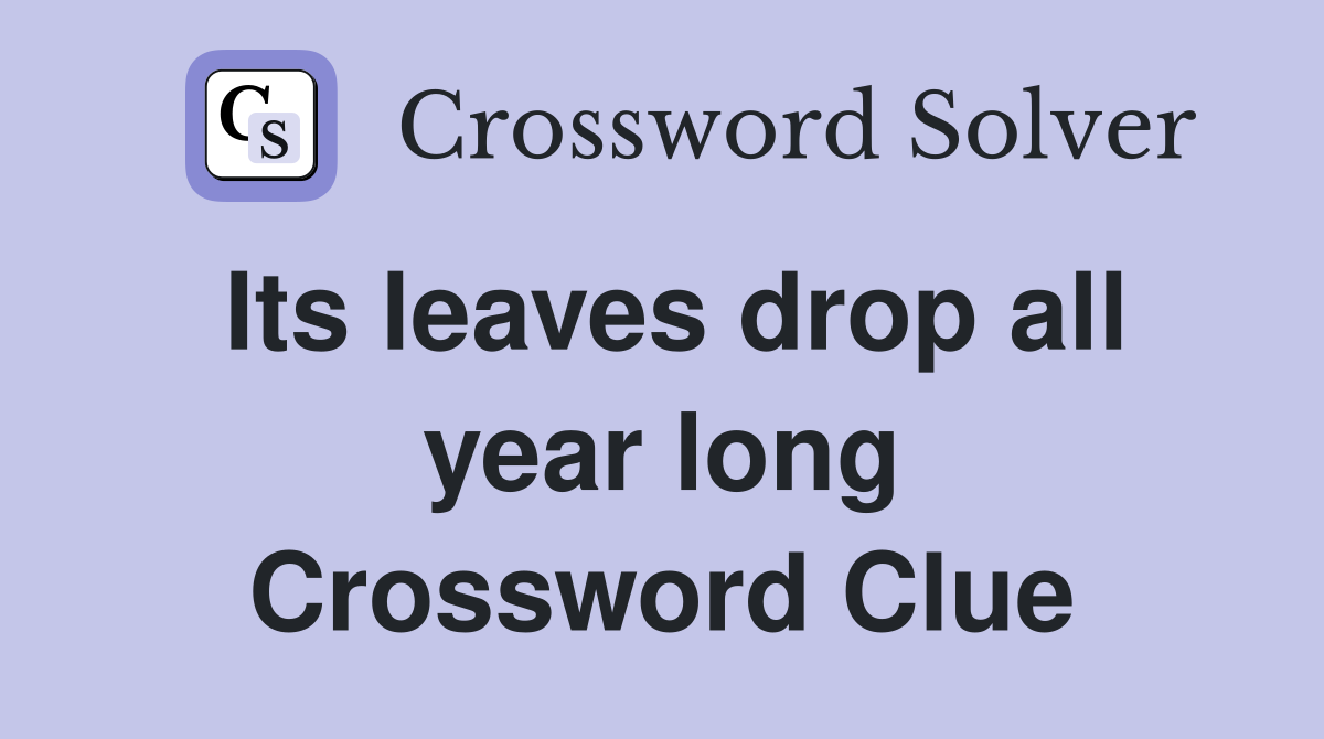 Its leaves drop all year long Crossword Clue