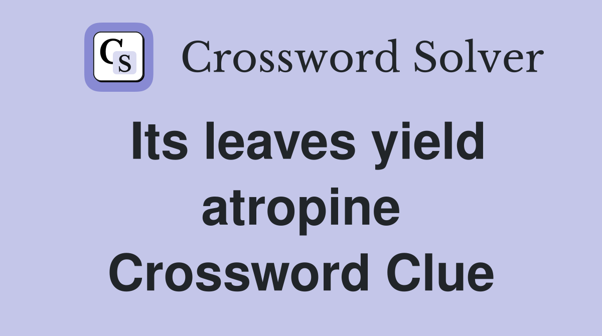 Its leaves yield atropine Crossword Clue