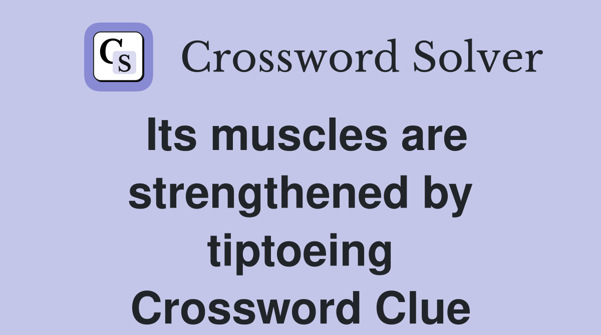 Its muscles are strengthened by tiptoeing Crossword Clue