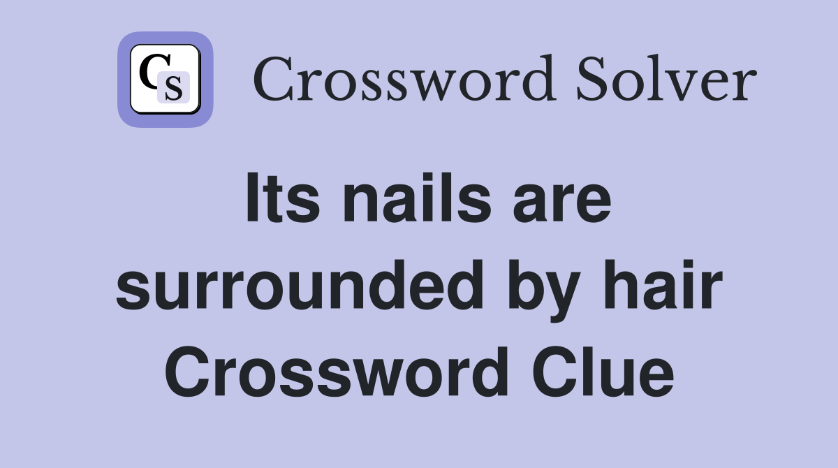Its nails are surrounded by hair Crossword Clue