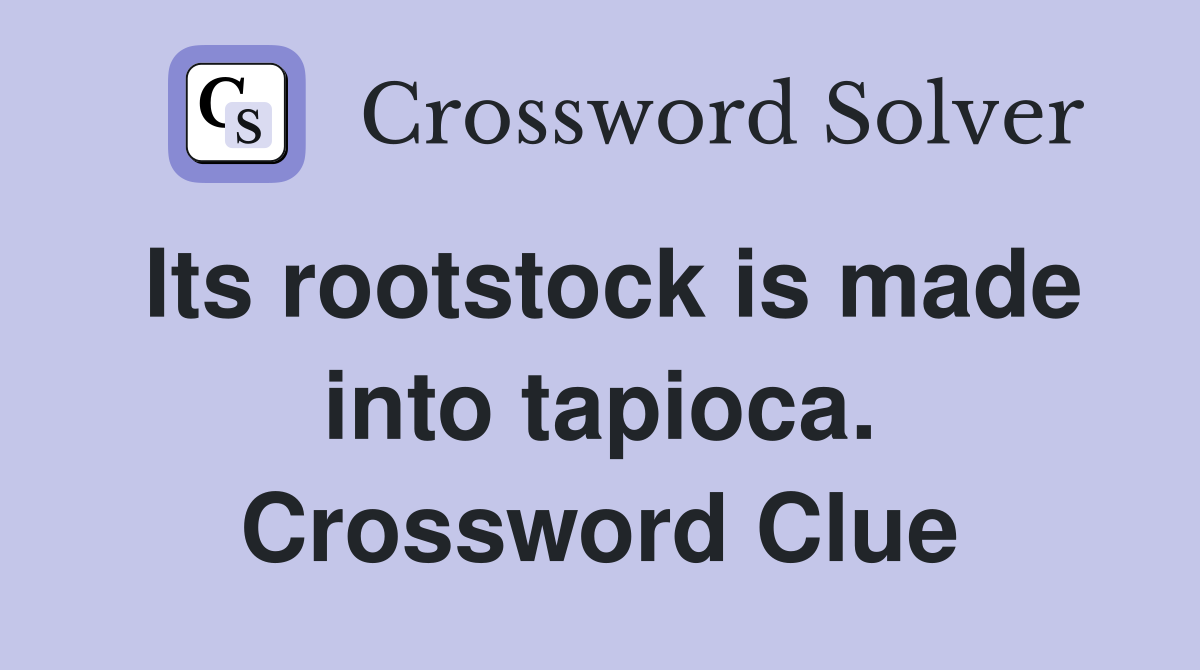 Its rootstock is made into tapioca. Crossword Clue