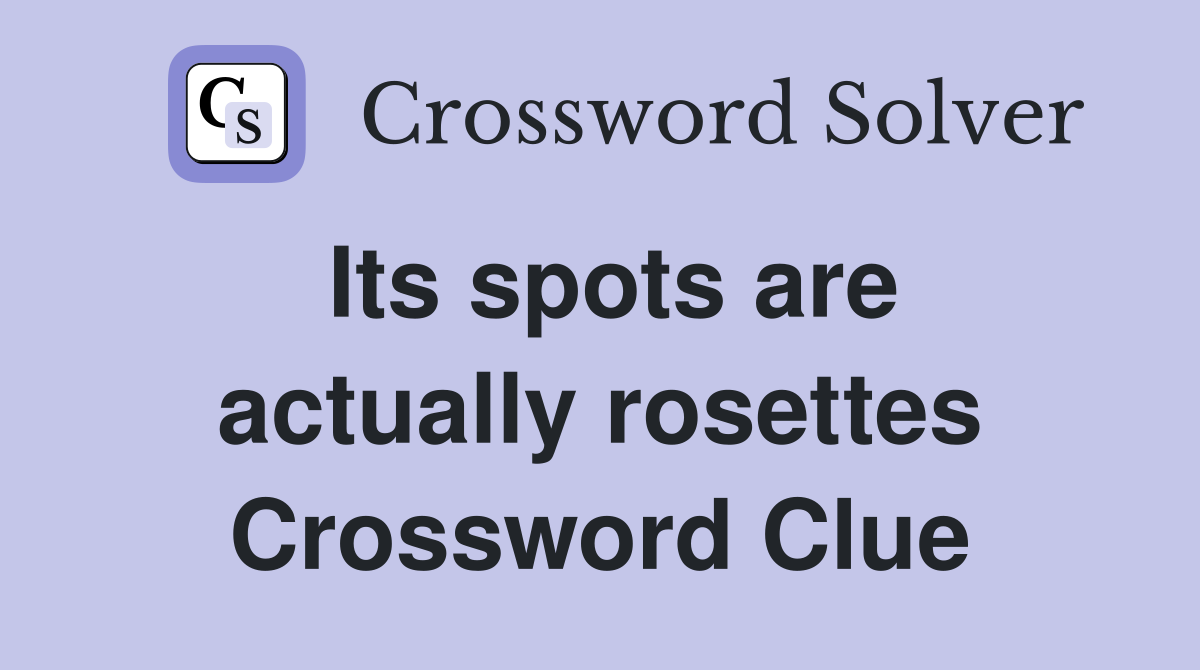 Its spots are actually rosettes Crossword Clue