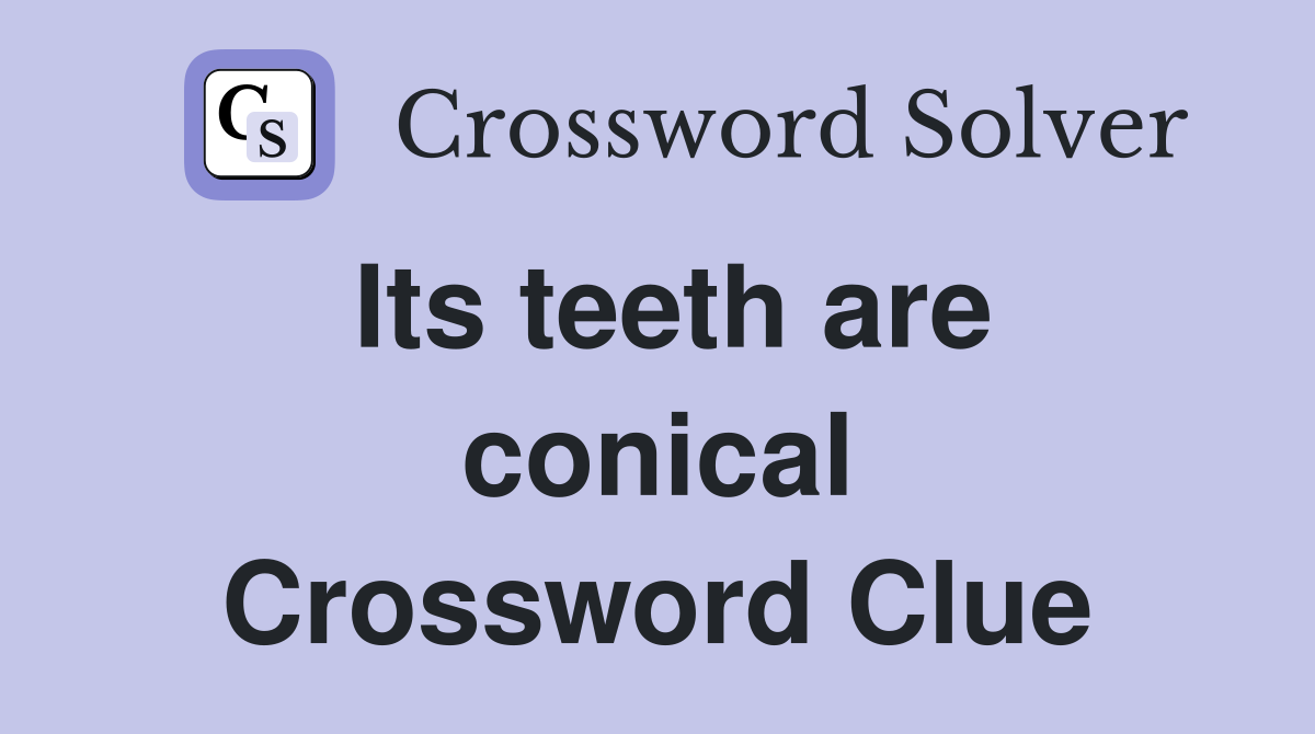 Its teeth are conical Crossword Clue