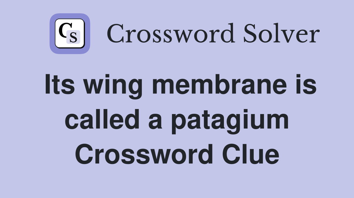 Its wing membrane is called a patagium Crossword Clue