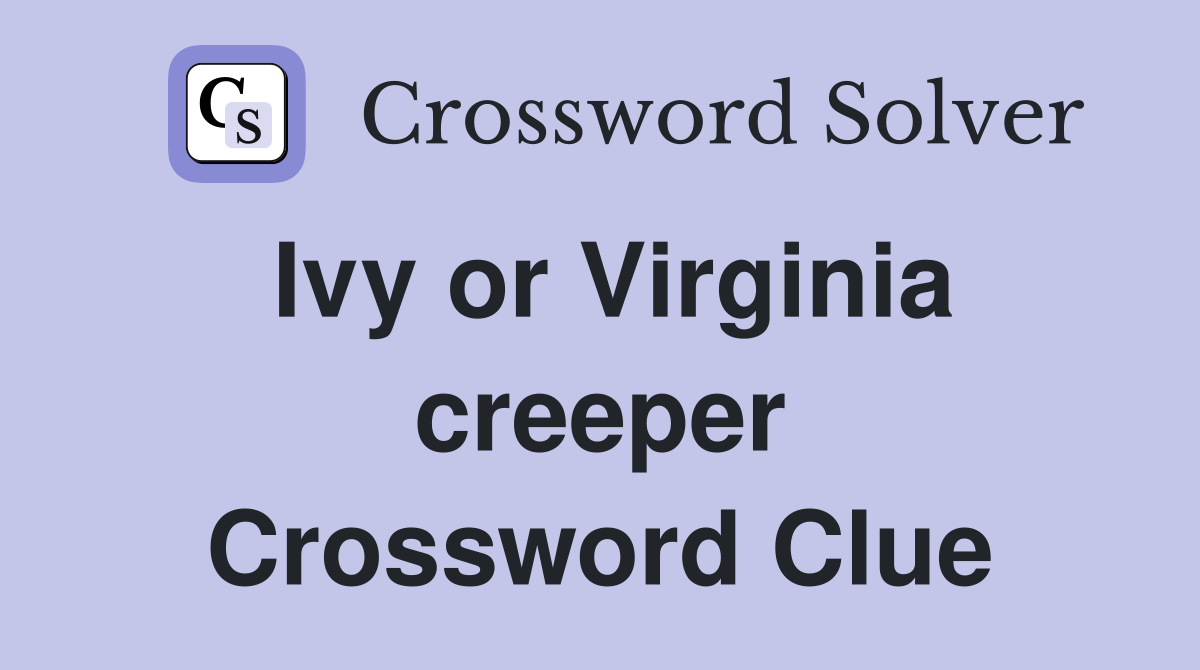 Ivy or Virginia creeper Crossword Clue