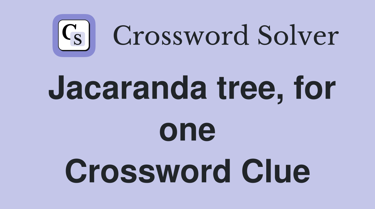 Jacaranda tree, for one Crossword Clue