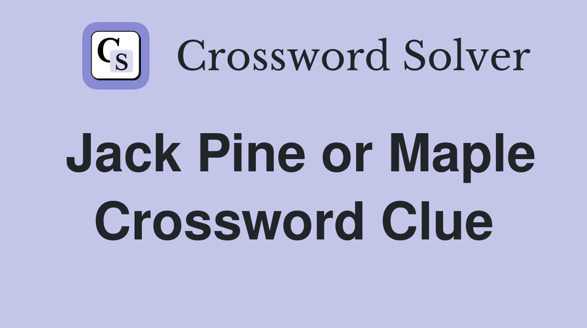 Jack Pine or Maple Crossword Clue