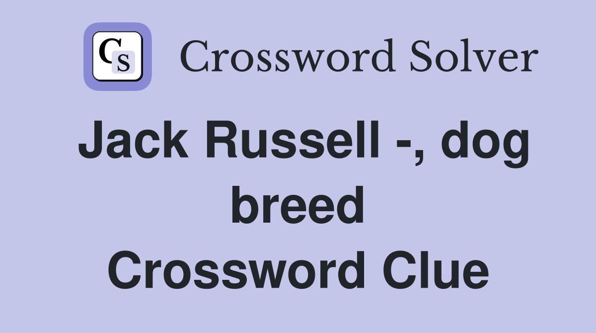 Jack Russell -, dog breed Crossword Clue
