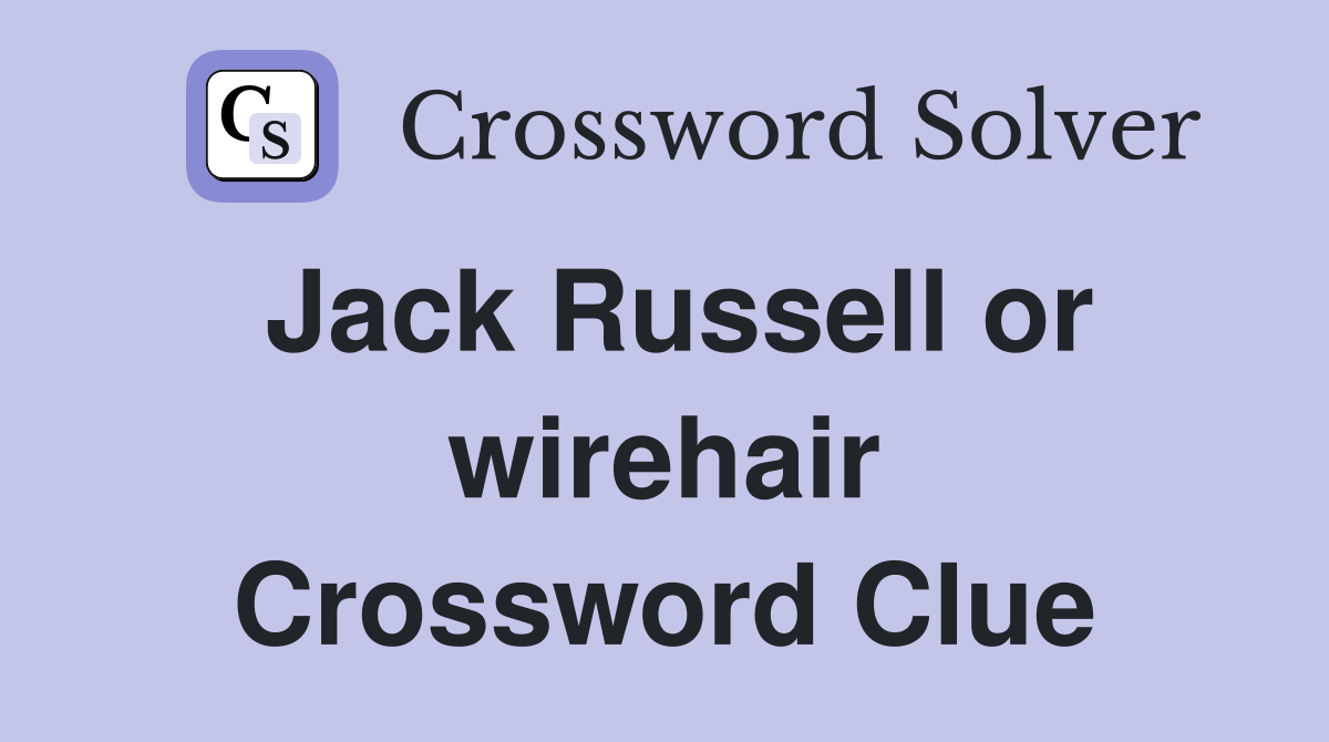 Jack Russell or wirehair Crossword Clue
