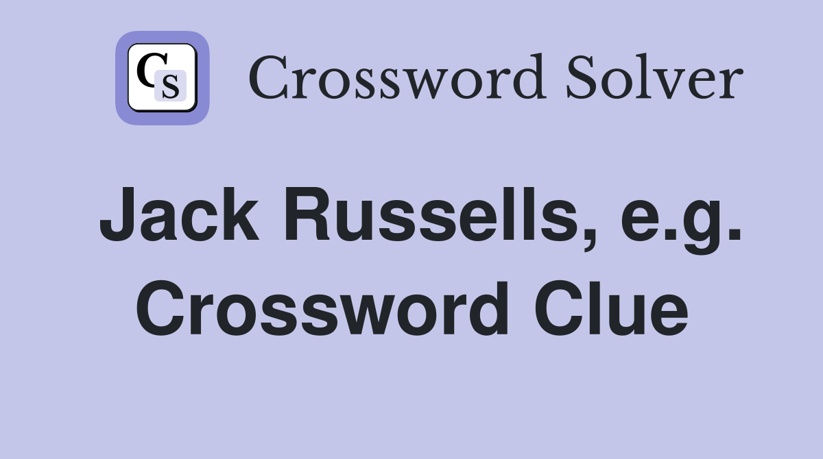Jack Russells, e.g. Crossword Clue