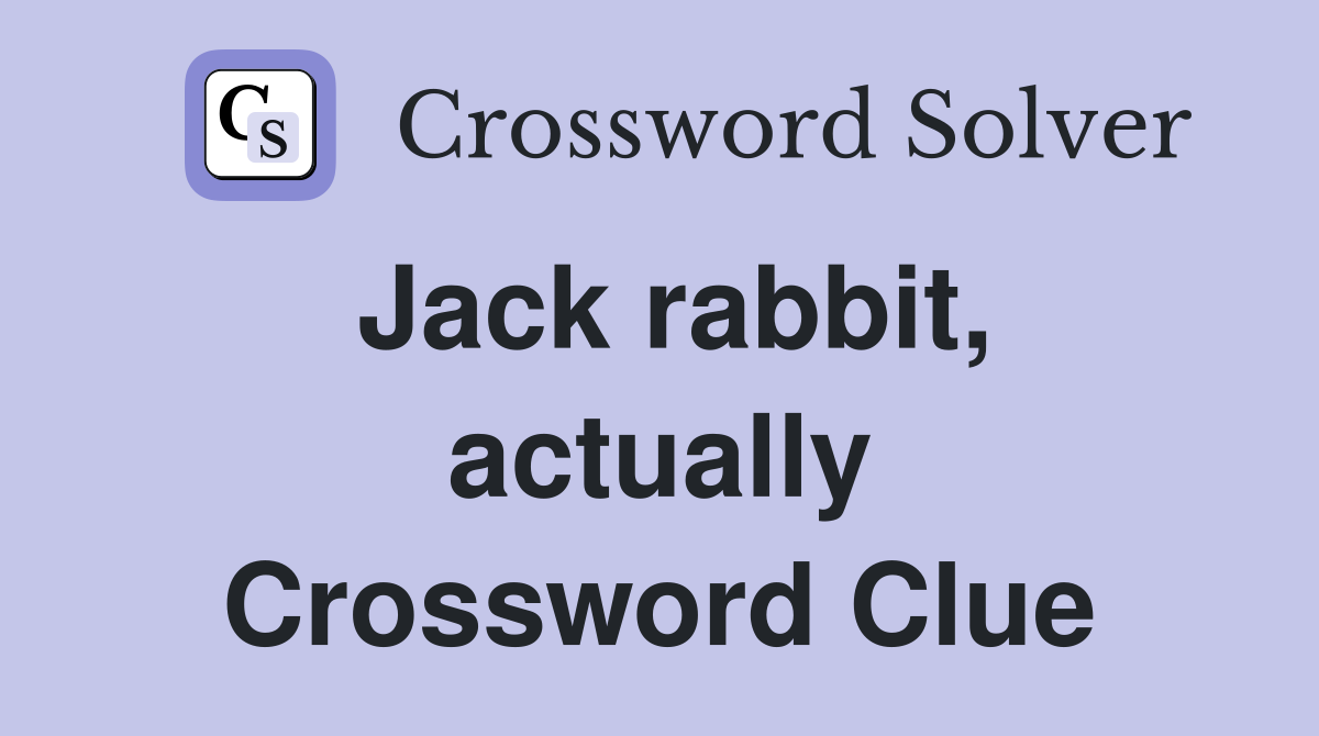 Jack rabbit, actually Crossword Clue