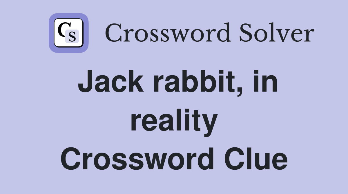 Jack rabbit, in reality Crossword Clue