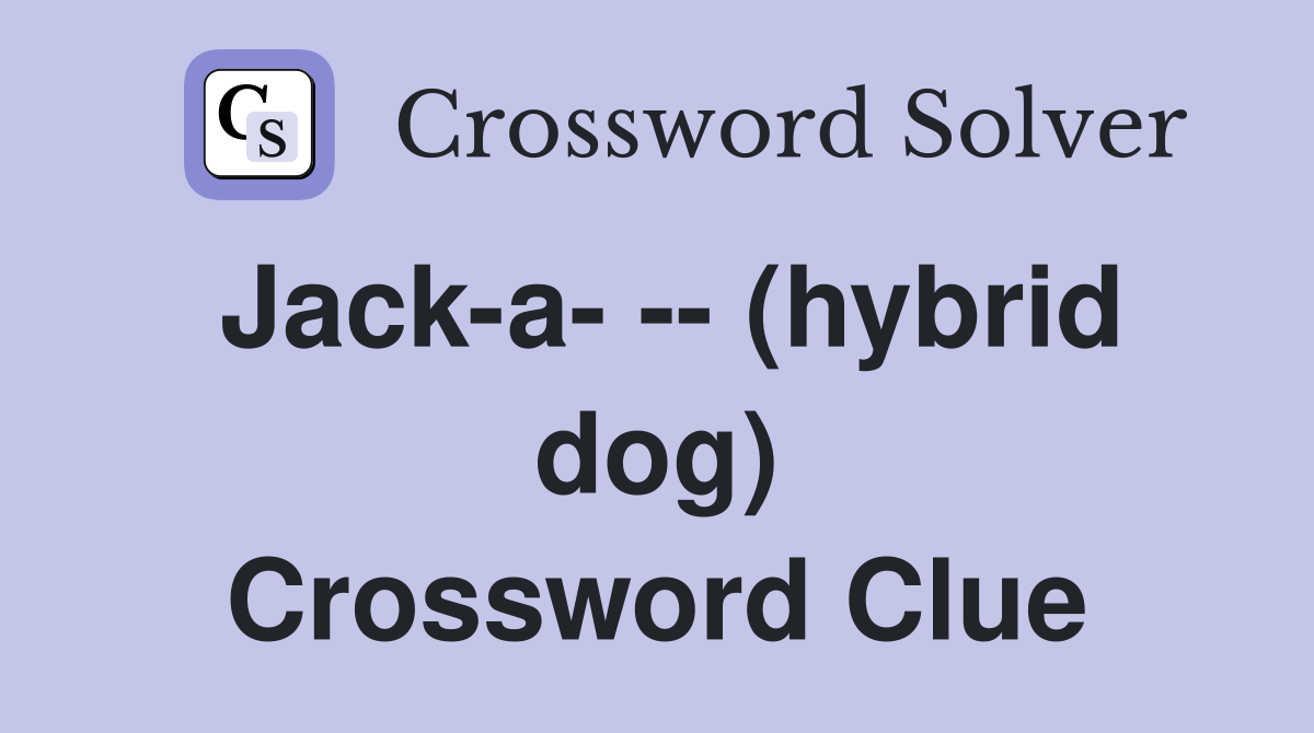 Jack-a- -- (hybrid dog) Crossword Clue