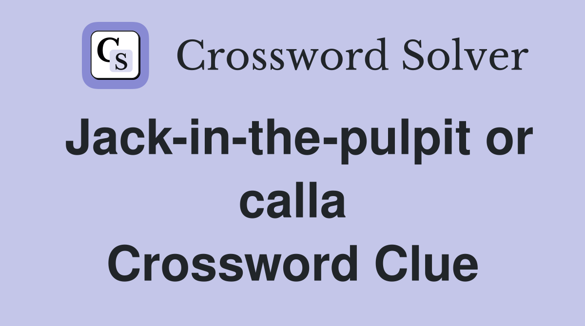 Jack-in-the-pulpit or calla Crossword Clue