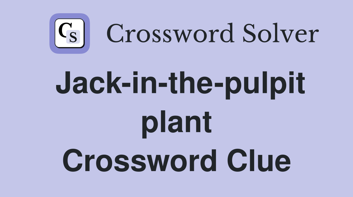Jack-in-the-pulpit plant Crossword Clue