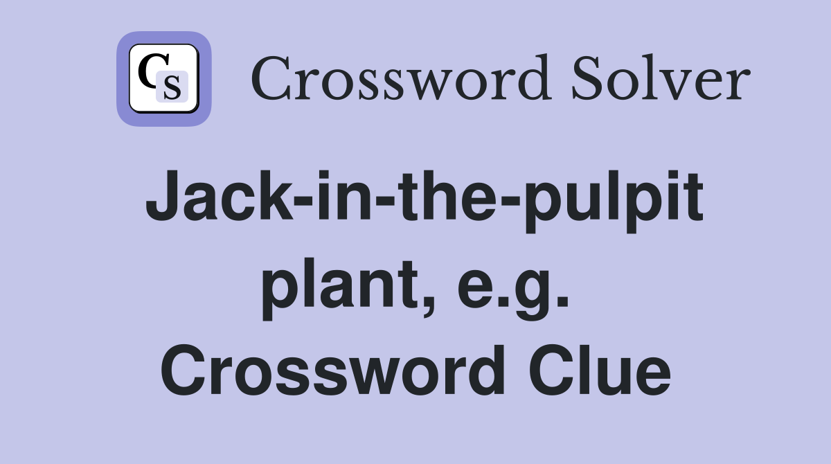 Jack-in-the-pulpit plant, e.g. Crossword Clue