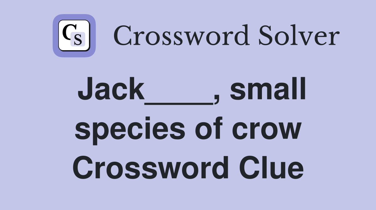 Jack____, small species of crow Crossword Clue