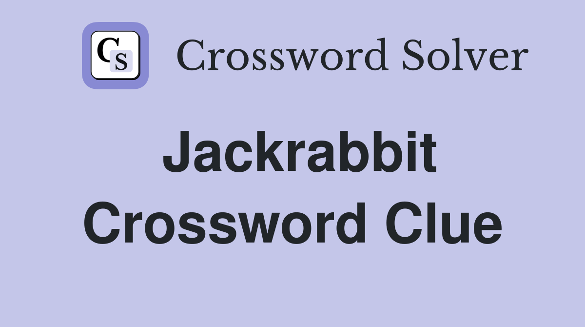 Jackrabbit Crossword Clue