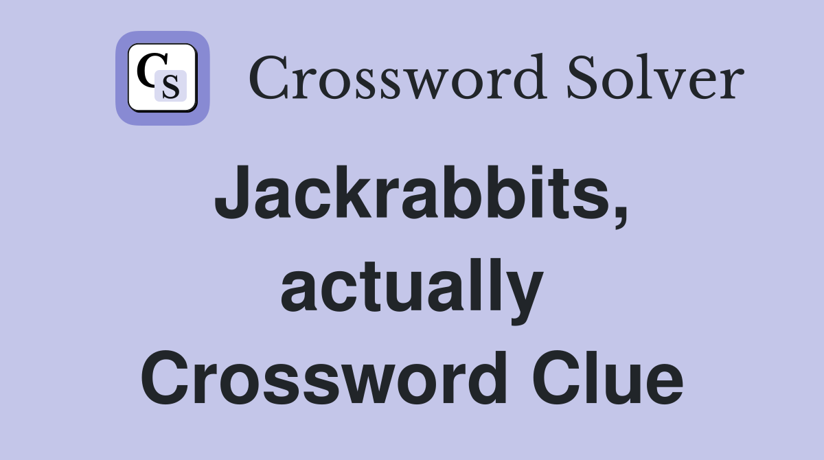 Jackrabbits, actually Crossword Clue