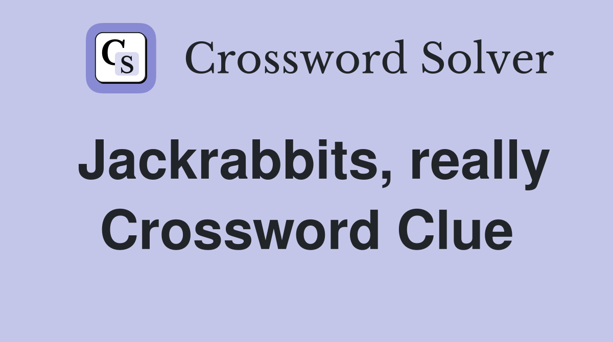 Jackrabbits, really Crossword Clue