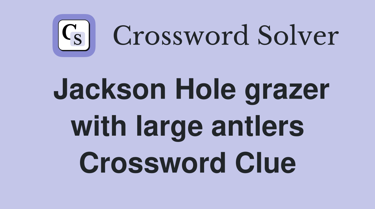 Jackson Hole grazer with large antlers Crossword Clue