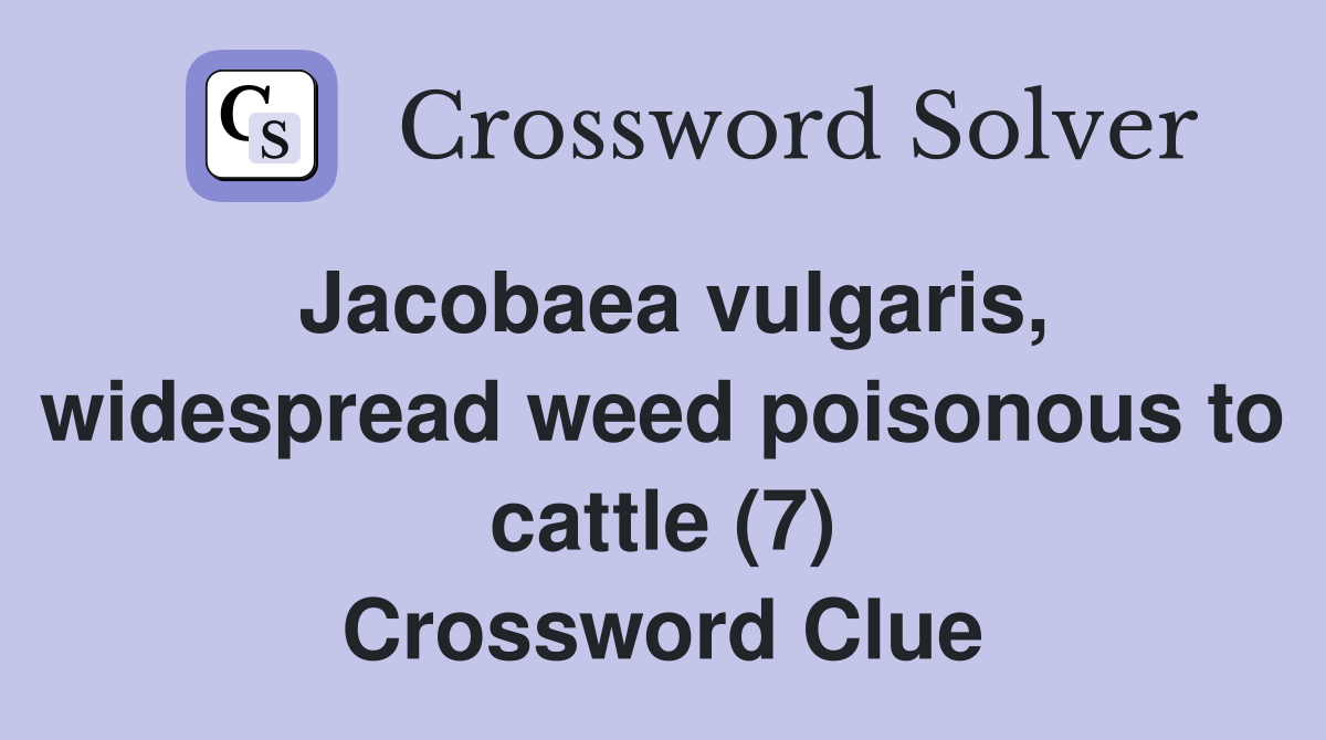 Jacobaea vulgaris, widespread weed poisonous to cattle (7) Crossword Clue