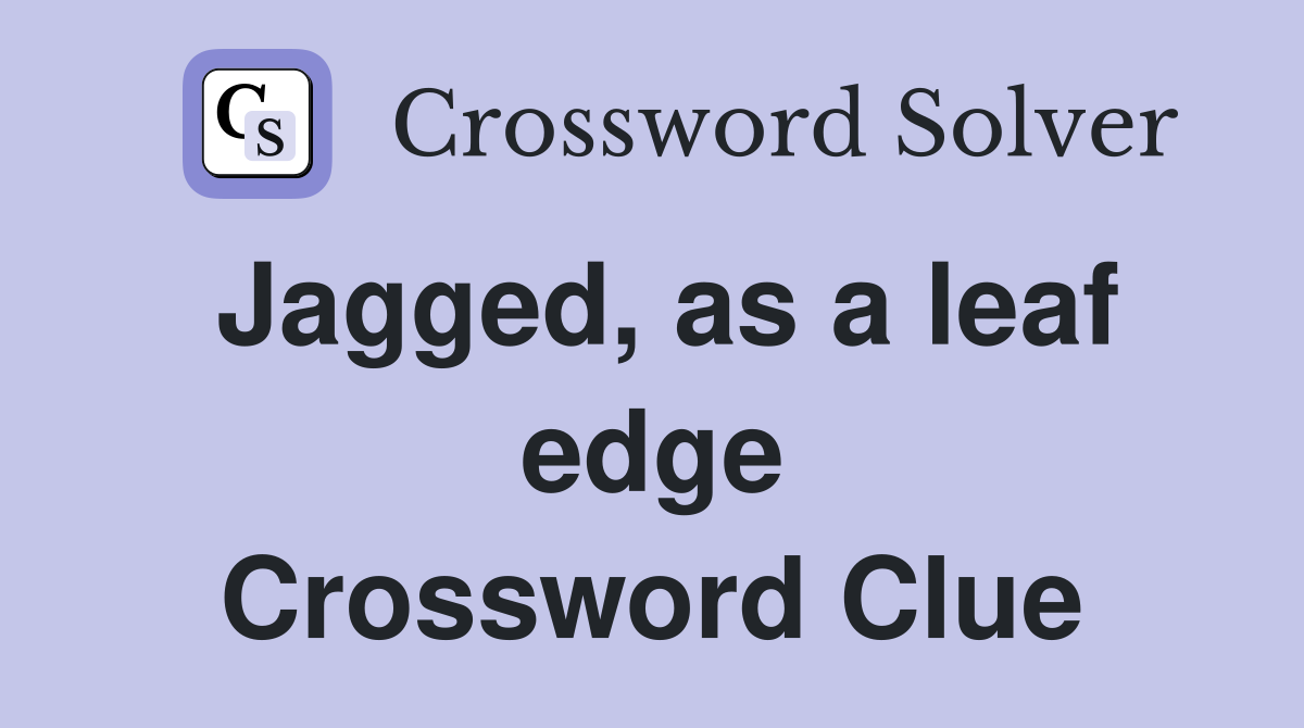 Jagged, as a leaf edge Crossword Clue