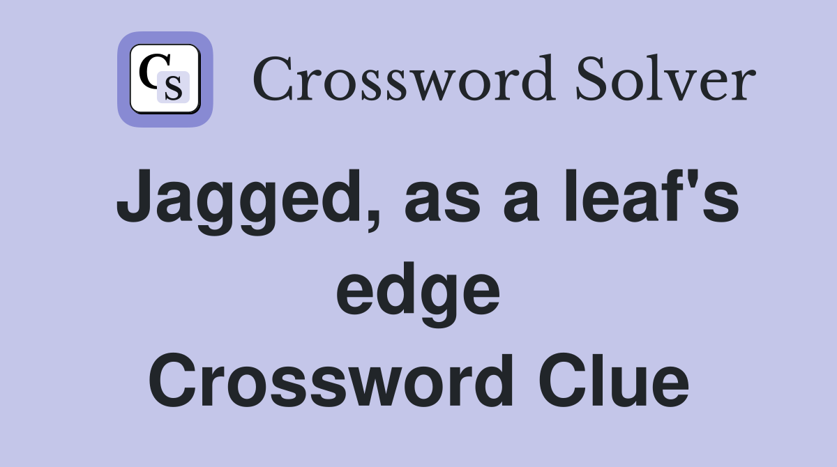 Jagged, as a leaf's edge Crossword Clue