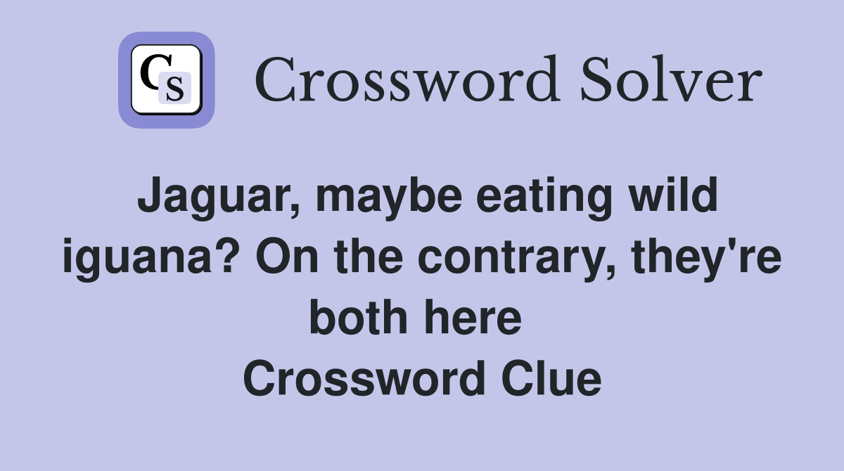Jaguar, maybe eating wild iguana? On the contrary, they're both here  Crossword Clue