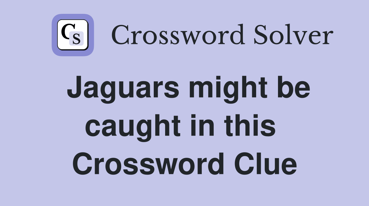 Jaguars might be caught in this  Crossword Clue