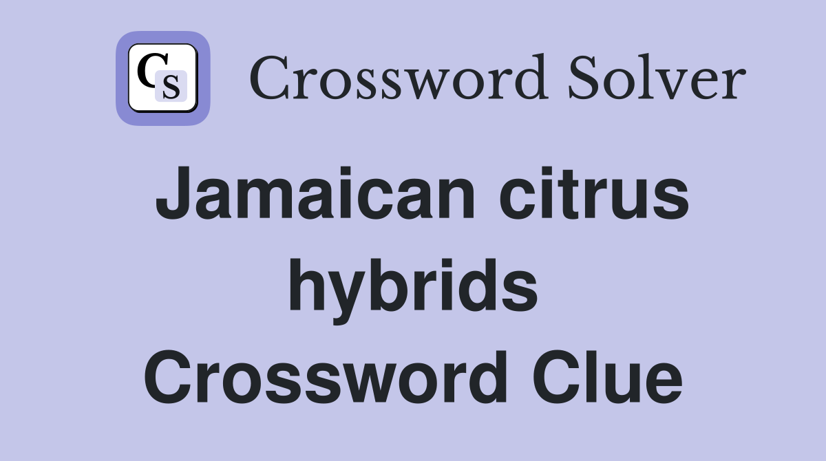 Jamaican citrus hybrids Crossword Clue