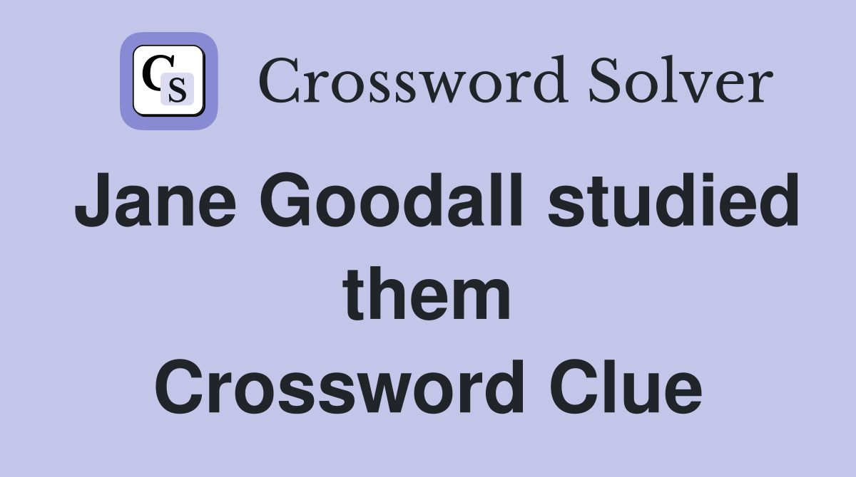 Jane Goodall studied them Crossword Clue