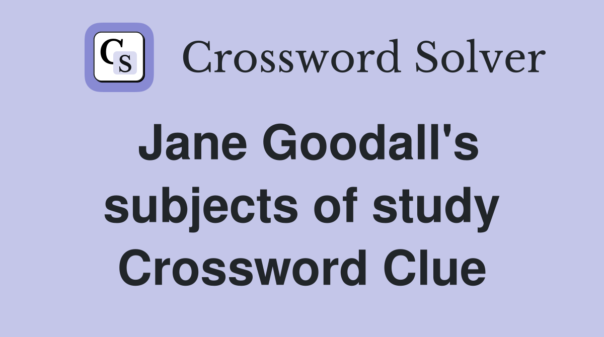 Jane Goodall's subjects of study Crossword Clue