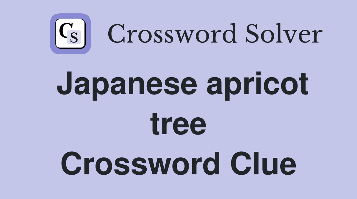 Japanese apricot tree Crossword Clue