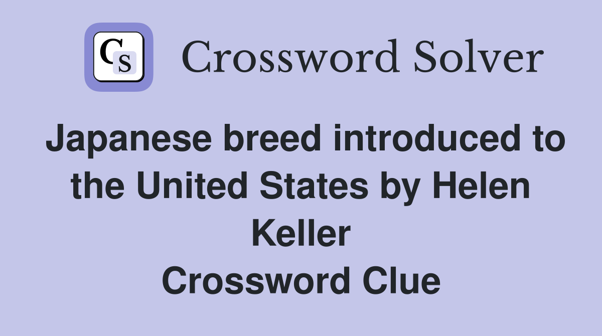Japanese breed introduced to the United States by Helen Keller Crossword Clue