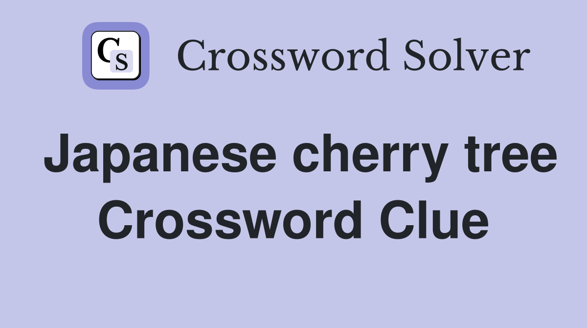 Japanese cherry tree Crossword Clue