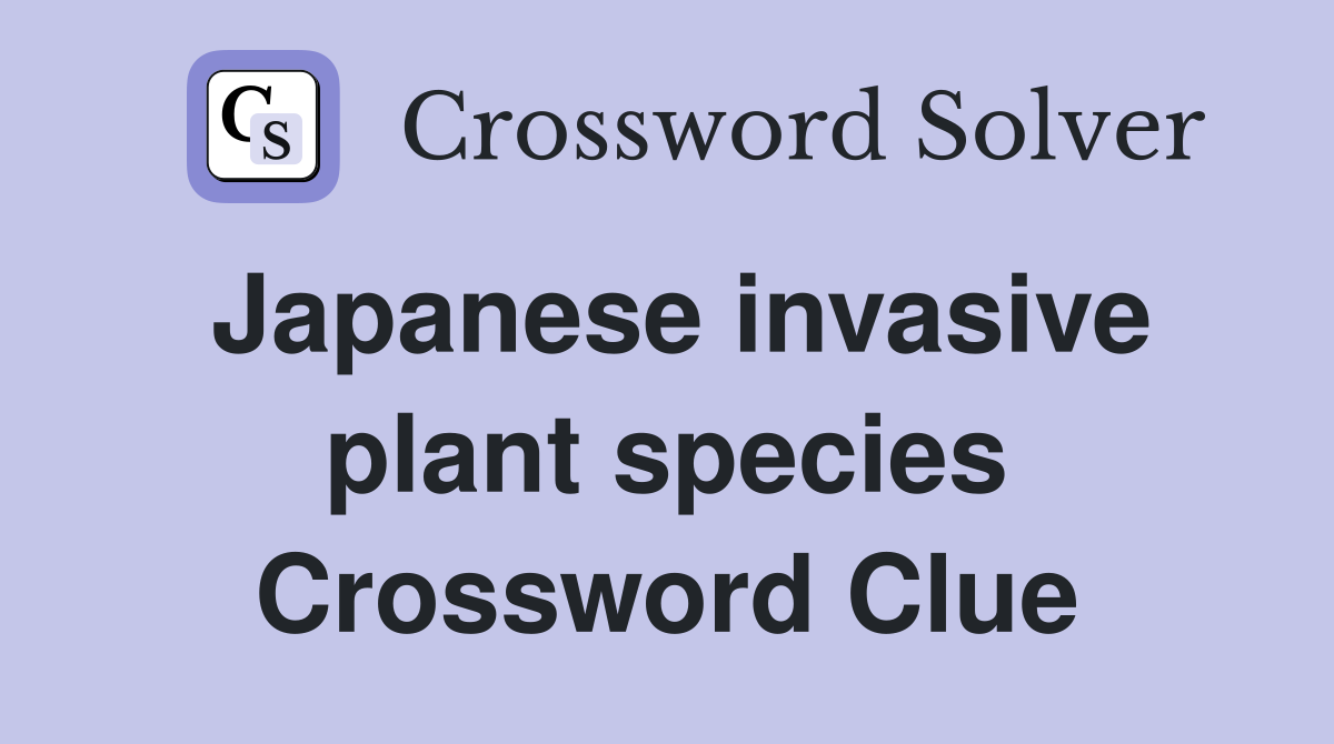 Japanese invasive plant species Crossword Clue