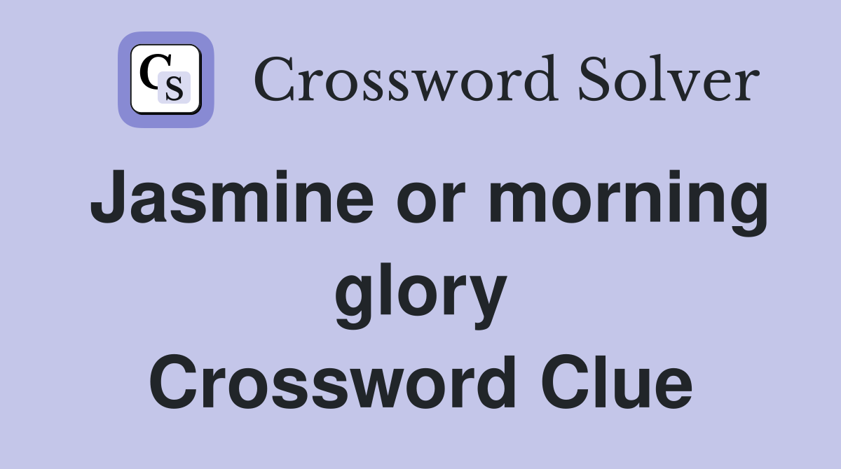 Jasmine or morning glory Crossword Clue
