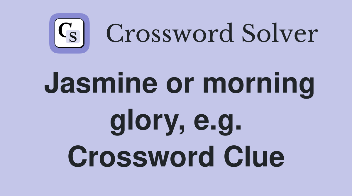 Jasmine or morning glory, e.g. Crossword Clue