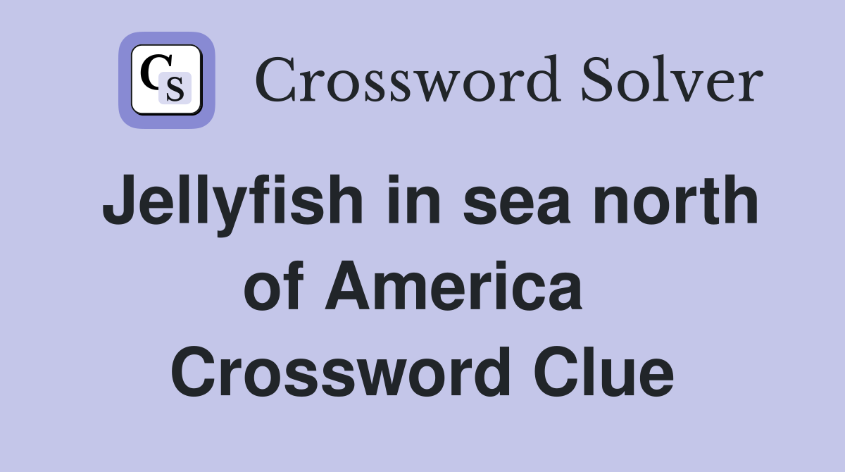 Jellyfish in sea north of America  Crossword Clue