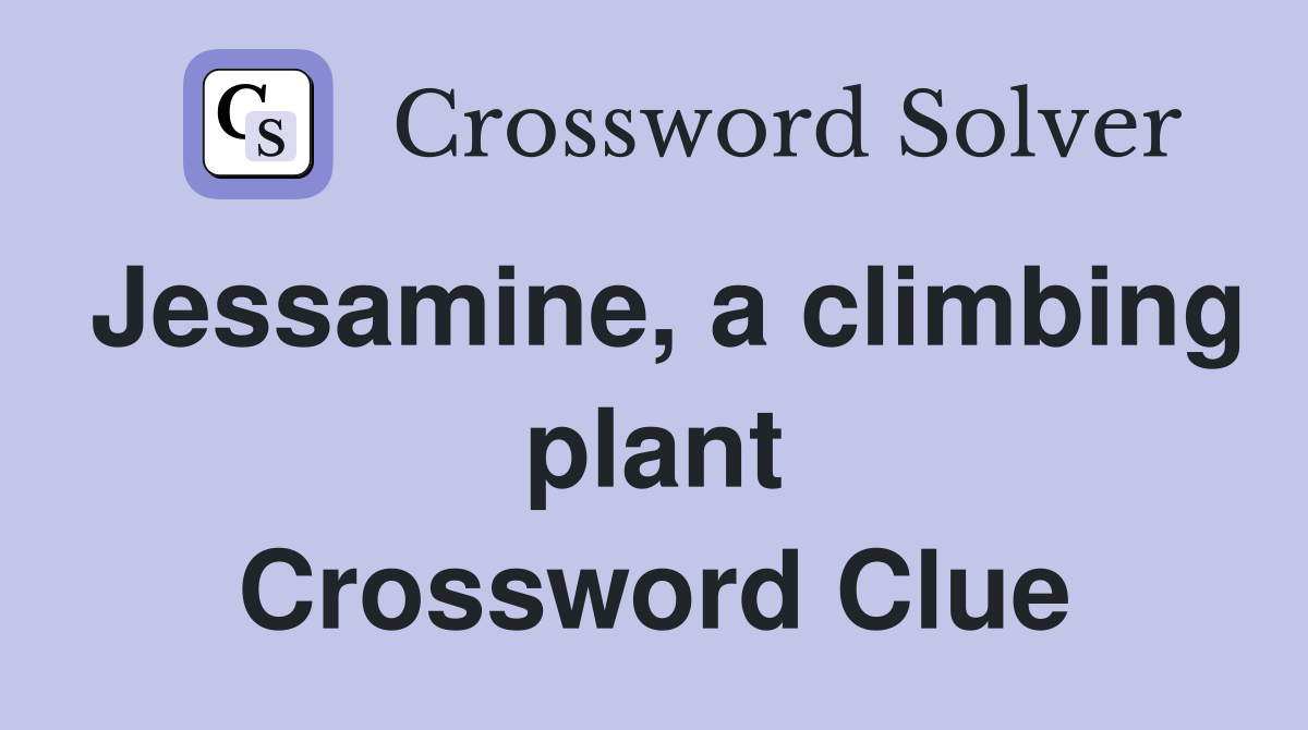 Jessamine, a climbing plant Crossword Clue