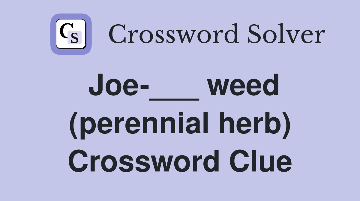 Joe-___ weed (perennial herb) Crossword Clue
