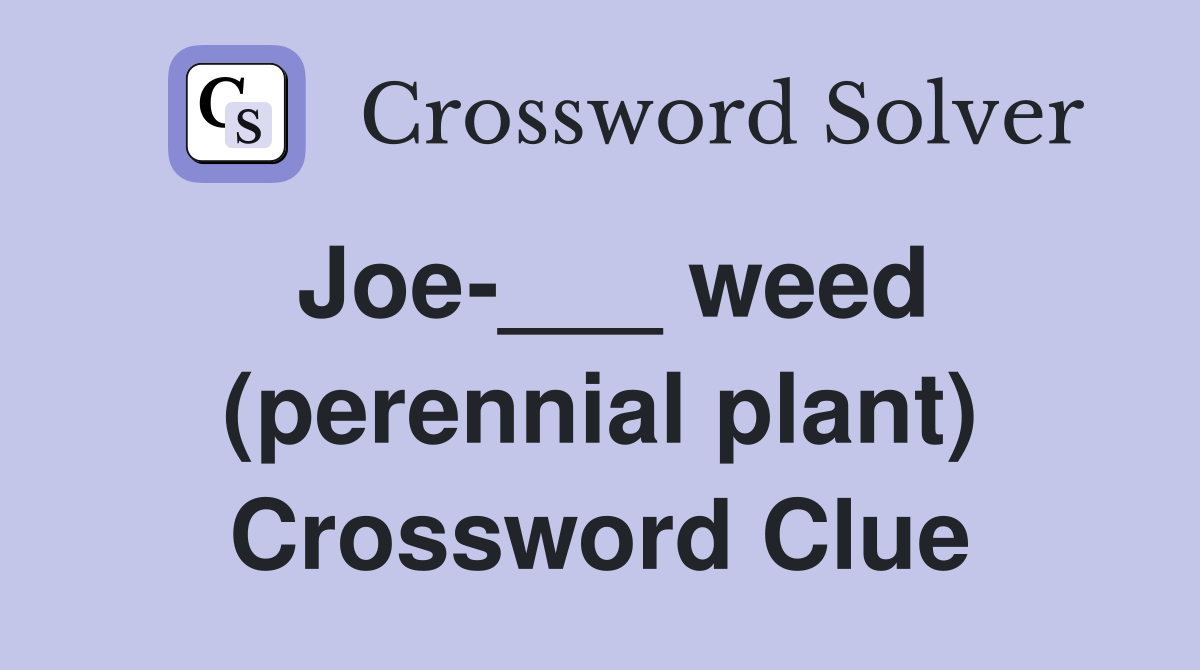 Joe-___ weed (perennial plant) Crossword Clue