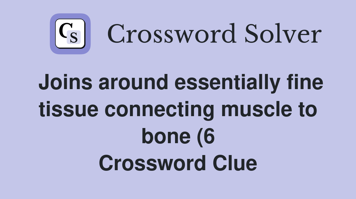 Joins around essentially fine tissue connecting muscle to bone (6 Joins around essentially fine tissue connecting muscle to bone (6
