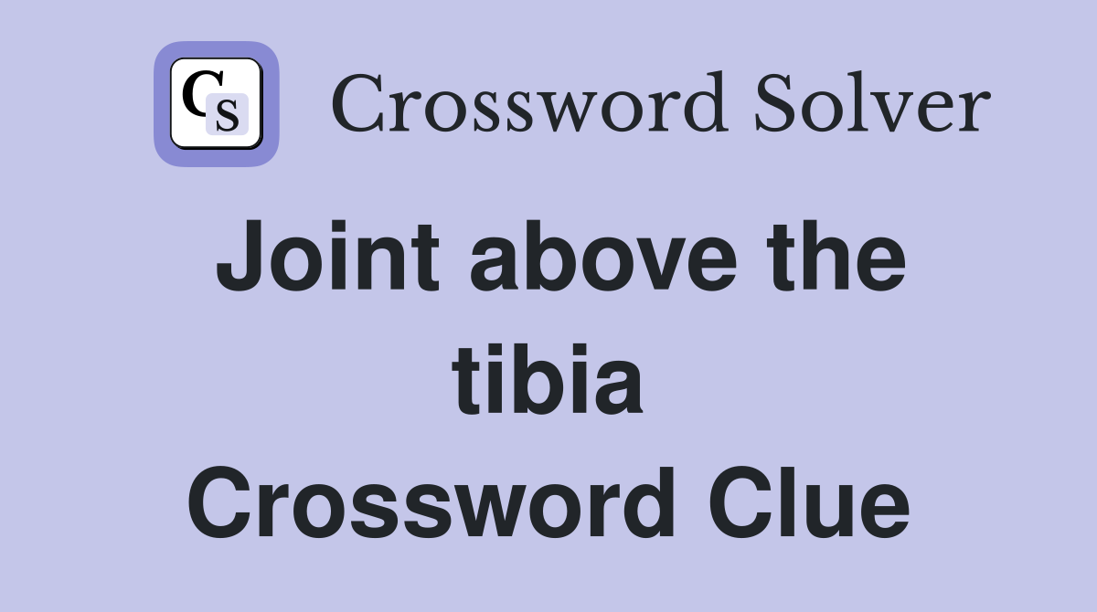Joint above the tibia Crossword Clue